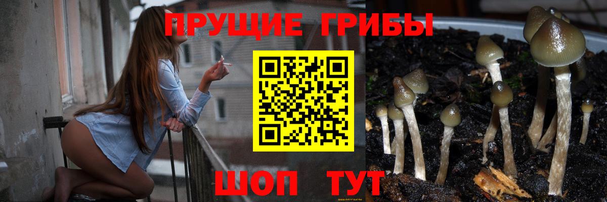 Галлюциногенные грибы прущие грибы Луга